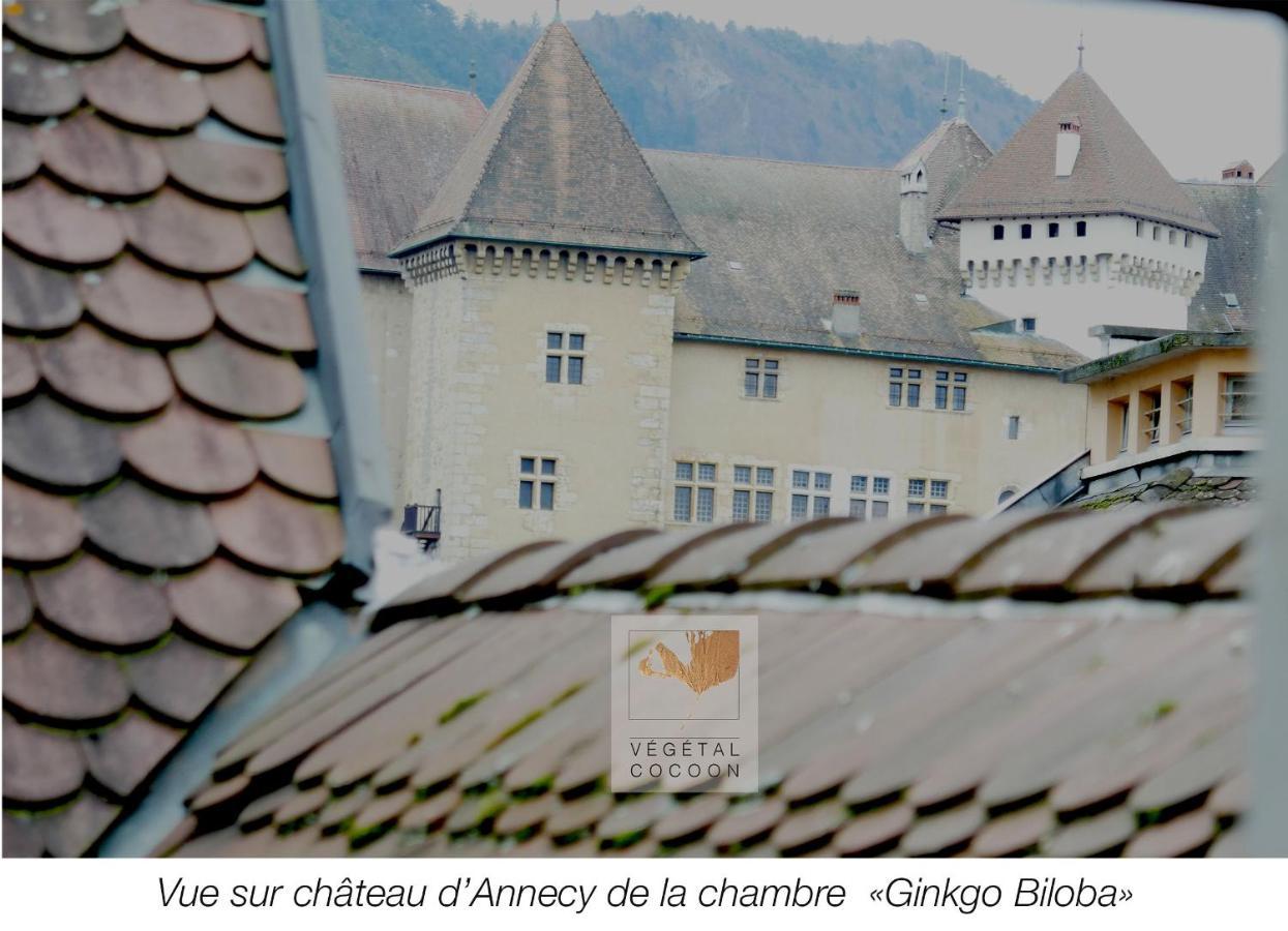 Apartamento végétal cocoon Annecy Exterior foto